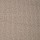 Stanton Carpet: Telluride Dove